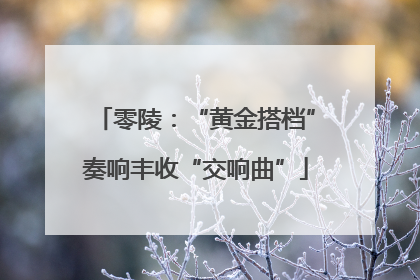 零陵：“黄金搭档”奏响丰收“交响曲”