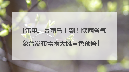 雷电、暴雨马上到！陕西省气象台发布雷雨大风黄色预警