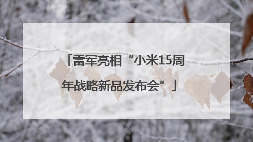 雷军亮相“小米15周年战略新品发布会”