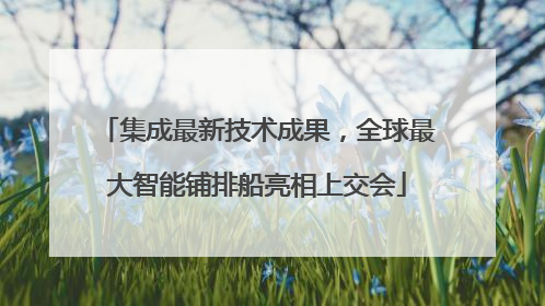 集成最新技术成果，全球最大智能铺排船亮相上交会