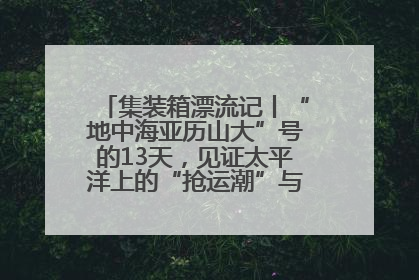 集装箱漂流记丨“地中海亚历山大”号的13天，见证太平洋上的“抢运潮”与“过剩潮”
