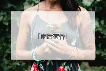 雨后荷香