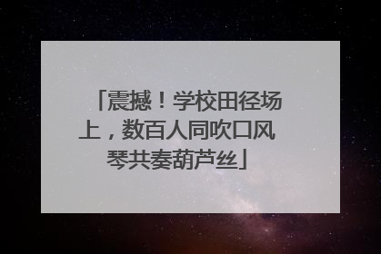震撼！学校田径场上，数百人同吹口风琴共奏葫芦丝