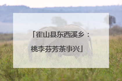 霍山县东西溪乡：桃李芬芳茶事兴
