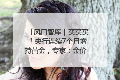 风口智库｜买买买！央行连续7个月增持黄金，专家：金价或仍易涨难跌