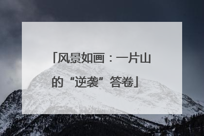 风景如画：一片山的“逆袭”答卷