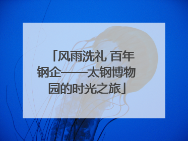 风雨洗礼 百年钢企——太钢博物园的时光之旅