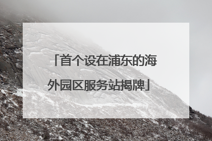 首个设在浦东的海外园区服务站揭牌