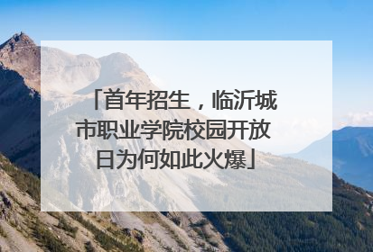 首年招生，临沂城市职业学院校园开放日为何如此火爆