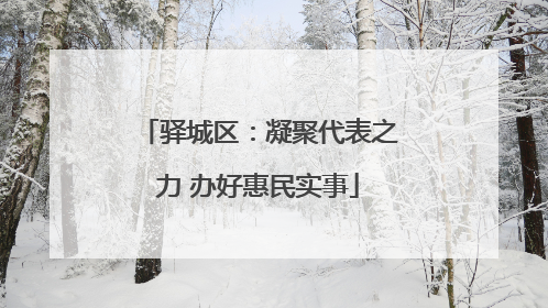驿城区：凝聚代表之力 办好惠民实事