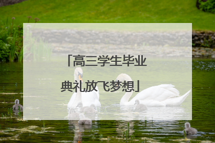 高三学生毕业典礼放飞梦想