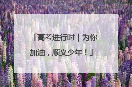 高考进行时｜为你加油，顺义少年！