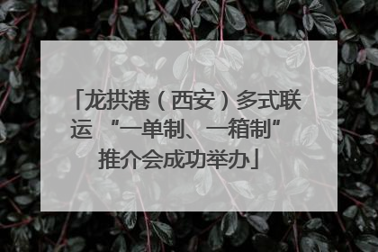 龙拱港（西安）多式联运 “一单制、一箱制” 推介会成功举办