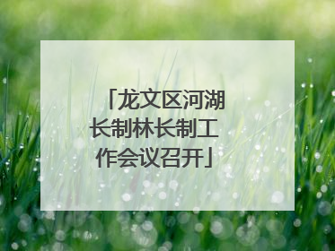 龙文区河湖长制林长制工作会议召开