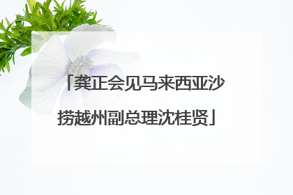 龚正会见马来西亚沙捞越州副总理沈桂贤