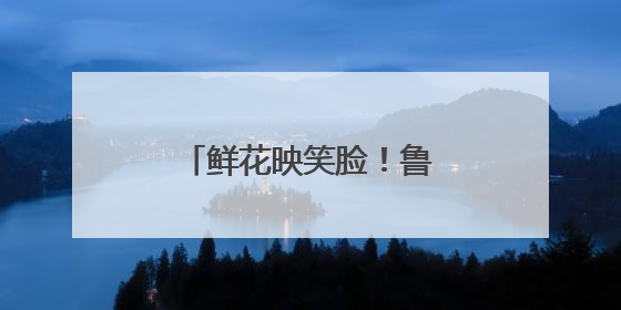 鲜花映笑脸！鲁山县妇联为优秀母亲送上暖心礼