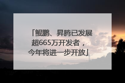 鲲鹏、昇腾已发展超665万开发者，今年将进一步开放