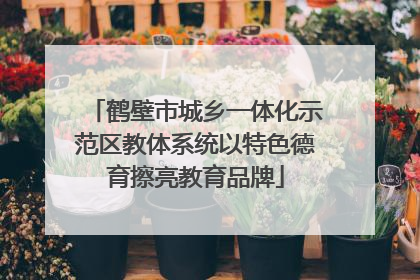 鹤壁市城乡一体化示范区教体系统以特色德育擦亮教育品牌