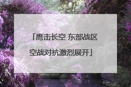 鹰击长空 东部战区空战对抗激烈展开