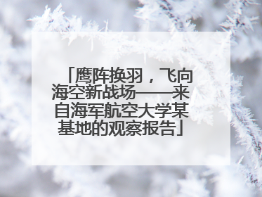 鹰阵换羽，飞向海空新战场——来自海军航空大学某基地的观察报告