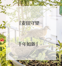 麦田守望 千年如新