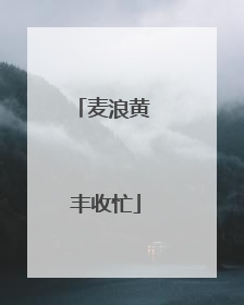 麦浪黄 丰收忙