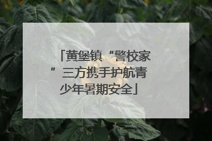 黄堡镇“警校家”三方携手护航青少年暑期安全