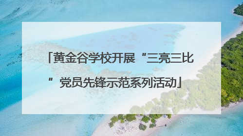 黄金谷学校开展“三亮三比”党员先锋示范系列活动