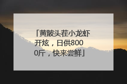 黄陂头茬小龙虾开炫，日供8000斤，快来尝鲜
