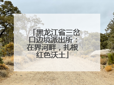 黑龙江省三岔口边境派出所：在界河畔，扎根红色沃土