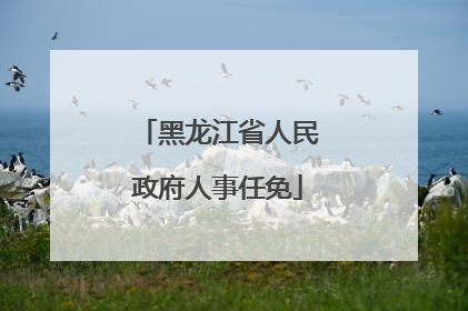 黑龙江省人民政府人事任免