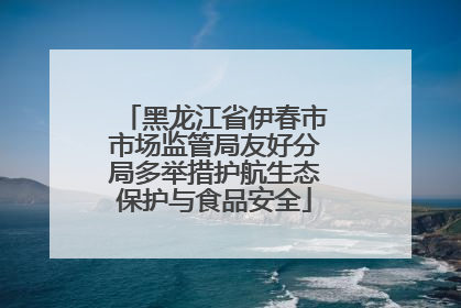 黑龙江省伊春市市场监管局友好分局多举措护航生态保护与食品安全
