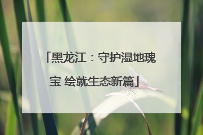 黑龙江：守护湿地瑰宝 绘就生态新篇