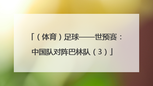 （体育）足球——世预赛：中国队对阵巴林队（3）