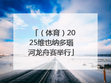 （体育）2025维也纳多瑙河龙舟赛举行