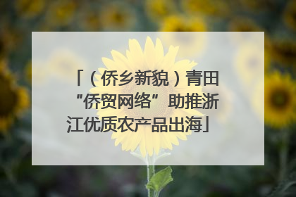 （侨乡新貌）青田“侨贸网络”助推浙江优质农产品出海