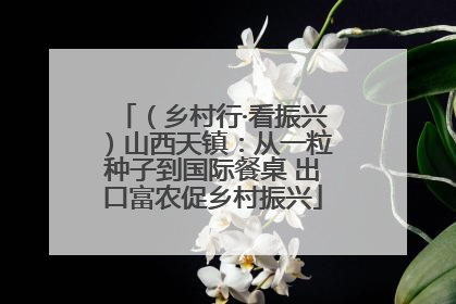 （乡村行·看振兴）山西天镇：从一粒种子到国际餐桌 出口富农促乡村振兴