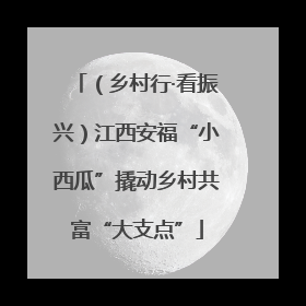 （乡村行·看振兴）江西安福“小西瓜”撬动乡村共富“大支点”