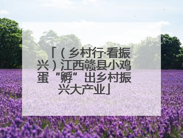 （乡村行·看振兴）江西赣县小鸡蛋“孵”出乡村振兴大产业