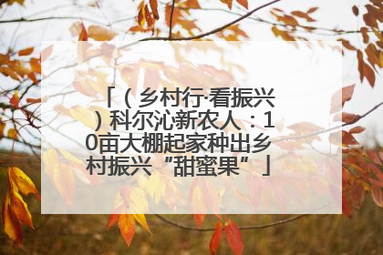 （乡村行·看振兴）科尔沁新农人：10亩大棚起家种出乡村振兴“甜蜜果”