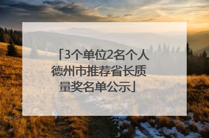 3个单位2名个人 德州市推荐省长质量奖名单公示