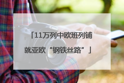 11万列中欧班列铺就亚欧“钢铁丝路”