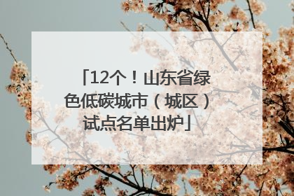 12个！山东省绿色低碳城市（城区）试点名单出炉