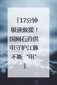 17分钟极速救援！国网石首供电守护江豚不断“电”