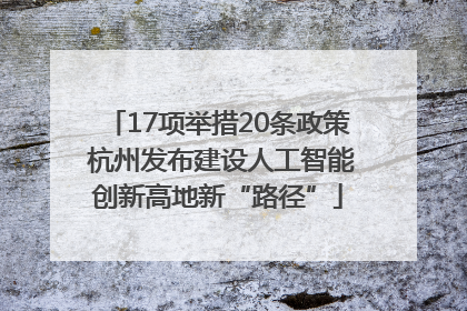 17项举措20条政策 杭州发布建设人工智能创新高地新“路径”
