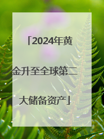 2024年黄金升至全球第二大储备资产