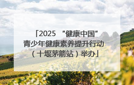 2025 “健康中国” 青少年健康素养提升行动（十堰茅箭站）举办