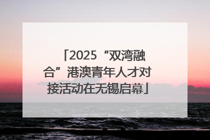 2025“双湾融合”港澳青年人才对接活动在无锡启幕