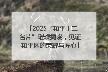 2025“和平十二名片”璀璨揭晓，见证和平区的荣耀与匠心