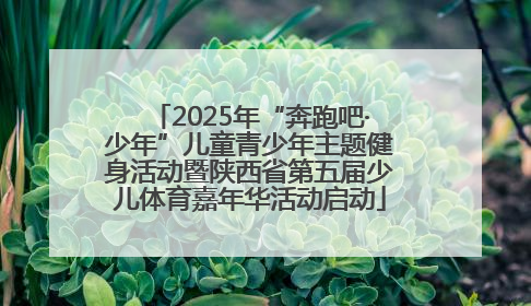 2025年“奔跑吧·少年”儿童青少年主题健身活动暨陕西省第五届少儿体育嘉年华活动启动